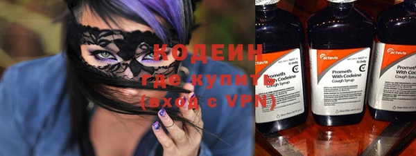 ГАЛЛЮЦИНОГЕННЫЕ ГРИБЫ Верея