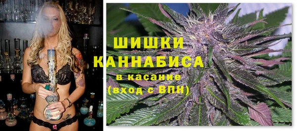 ГАЛЛЮЦИНОГЕННЫЕ ГРИБЫ Верея