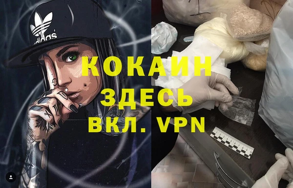 ГАЛЛЮЦИНОГЕННЫЕ ГРИБЫ Верея