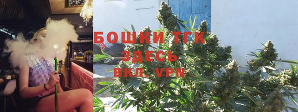 ГАЛЛЮЦИНОГЕННЫЕ ГРИБЫ Верея