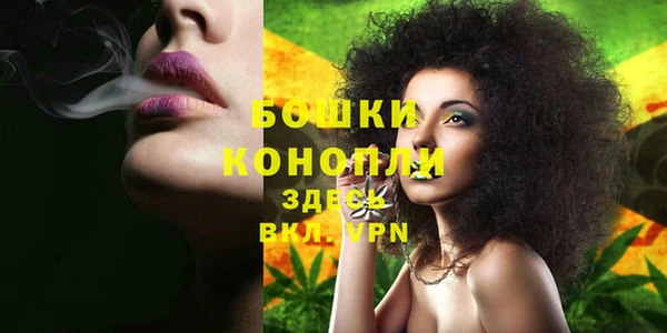 ГАЛЛЮЦИНОГЕННЫЕ ГРИБЫ Верея