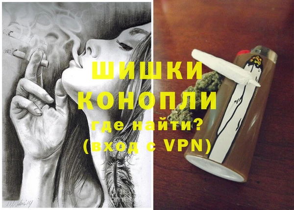 ГАЛЛЮЦИНОГЕННЫЕ ГРИБЫ Верея
